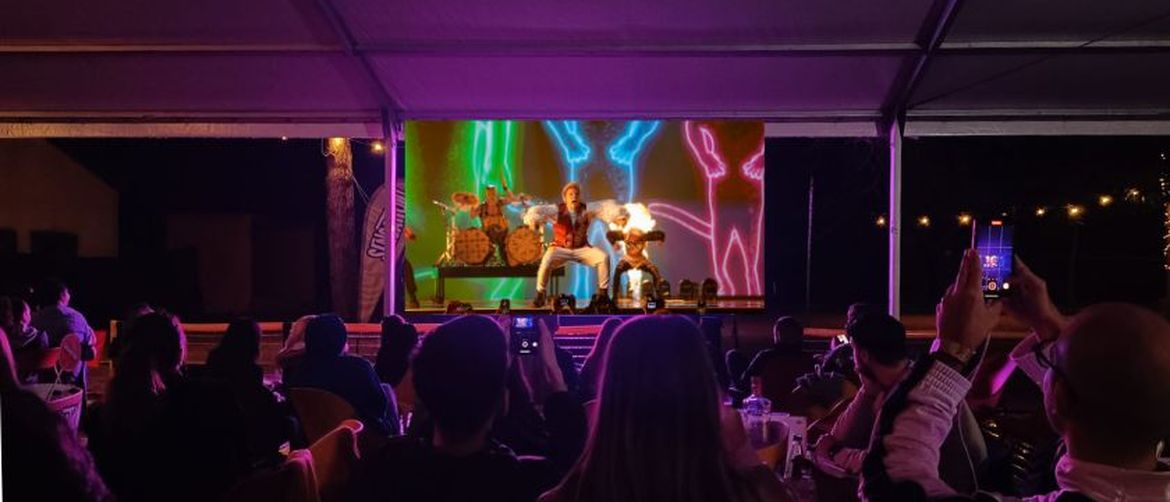 Organizirano gledanje Eurosonga