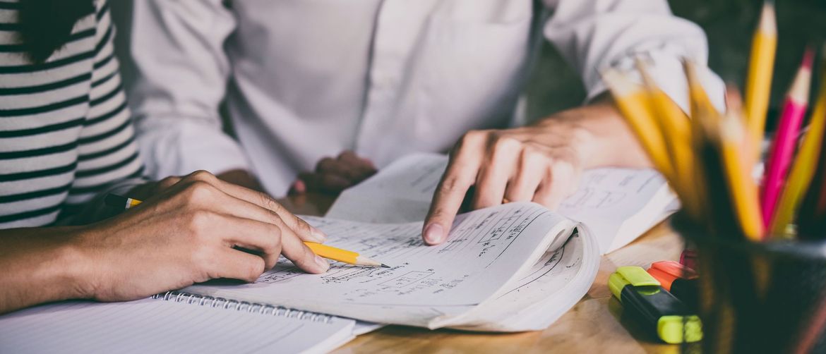 Instrukcije, individualno objašnjavanje gradiva