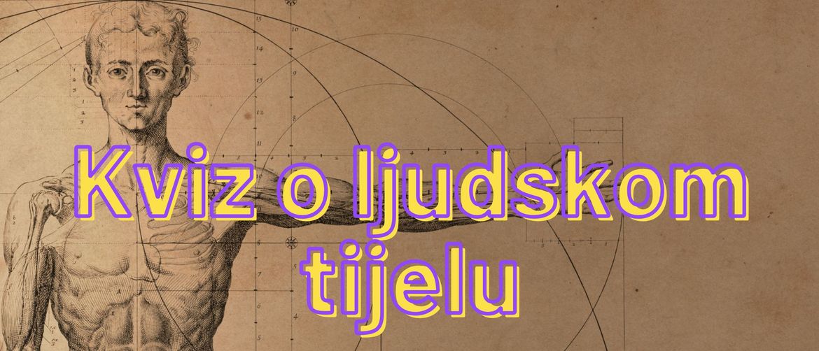 Kviz o ljudskom tijelu