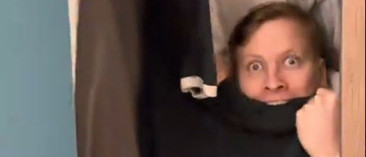Skeč o insektima