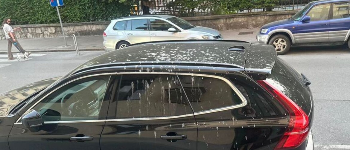 Auto prekriven ptičjim izmetom