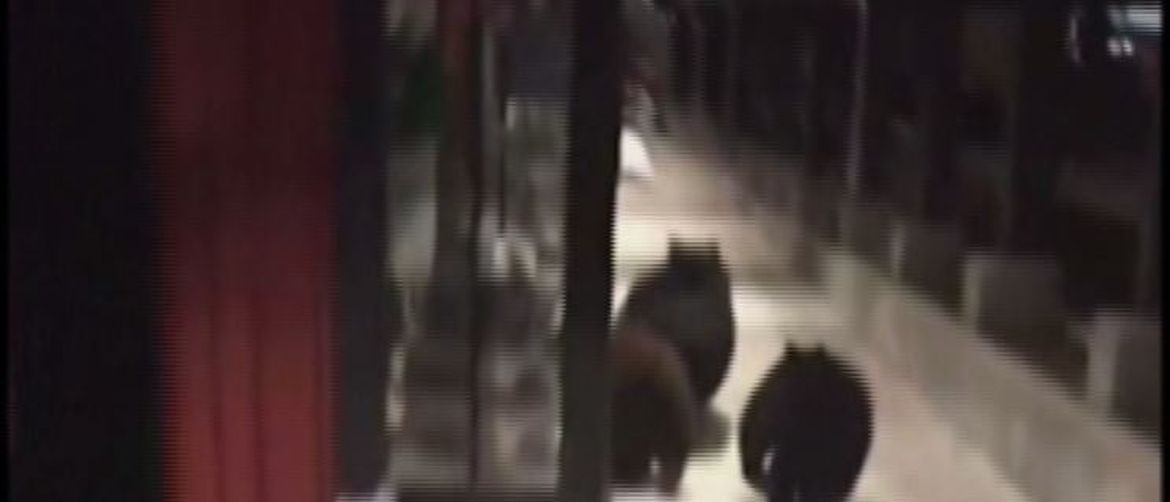 Medvjedi zalutali u trgovački centar (Screenshot: AP)