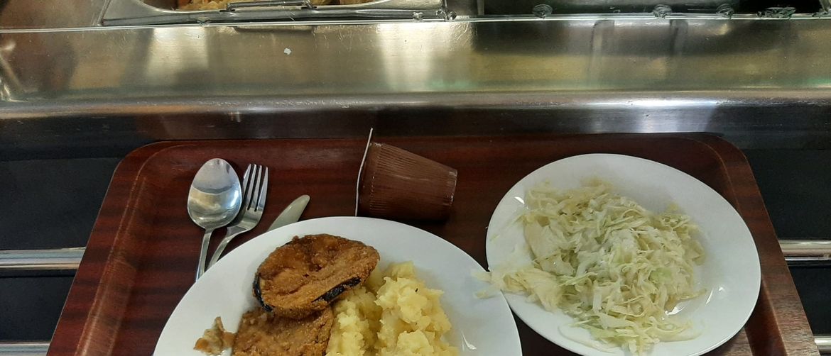 Studentski obrok iz menze