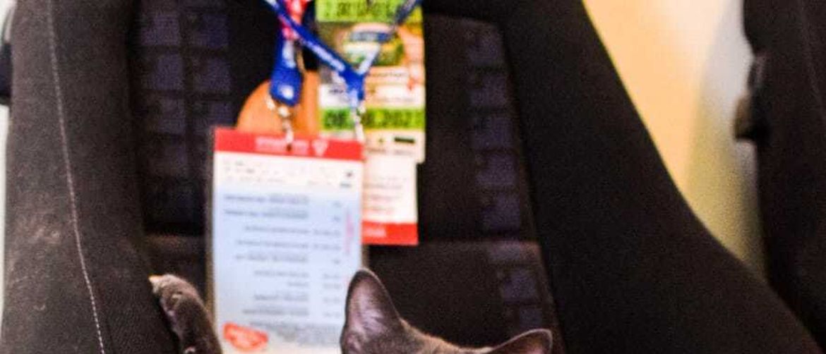 Studenti i njihovi krzneni prijatelji