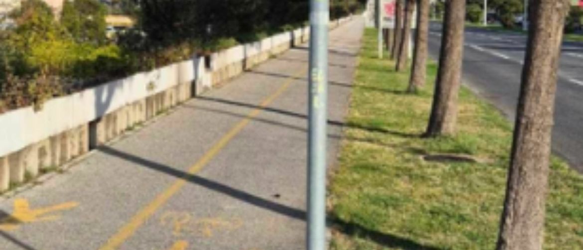 Neobična prometna situacija