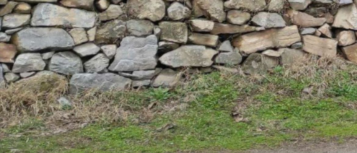 Neobičan način nadogradnje suhozida na selu