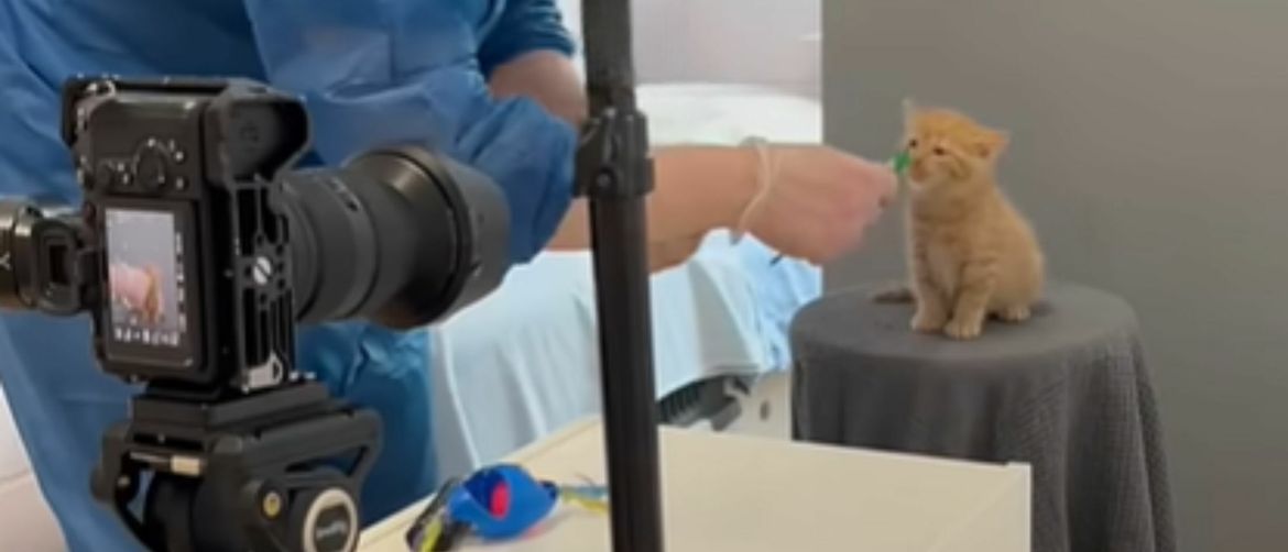 Mačić ma početku fotografiranja puta odrastanja