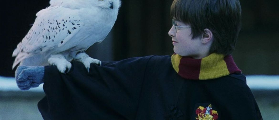 Harry Potter i Kamen mudraca