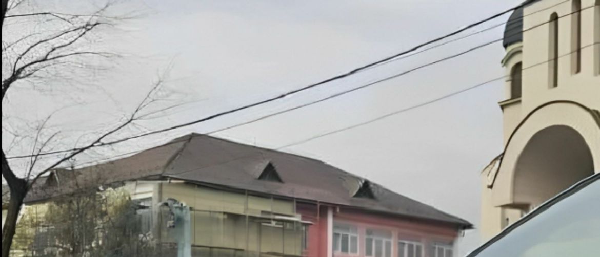 Neobičan ukras na haubi automobila