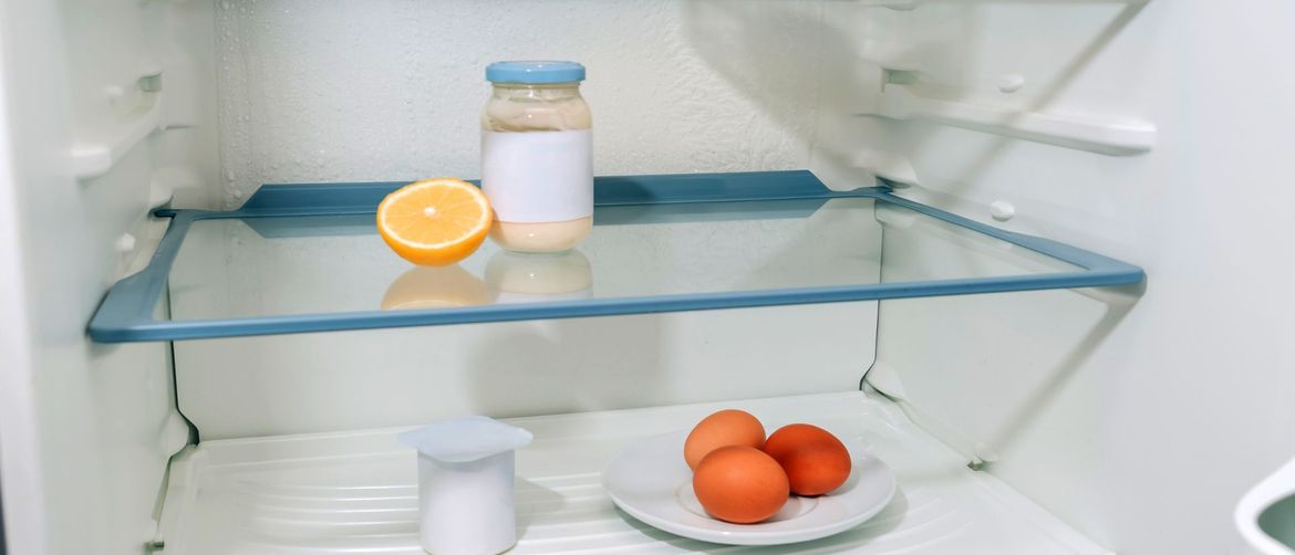 Nije teško pogoditi sadržaj studentskog hladnjaka