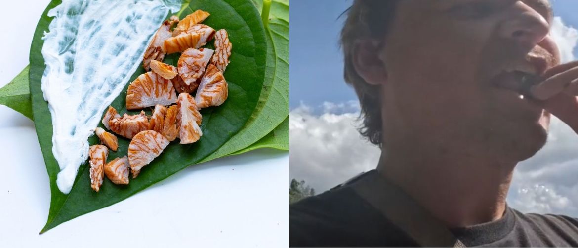 Nolan Saumure kako konzumira betel orah