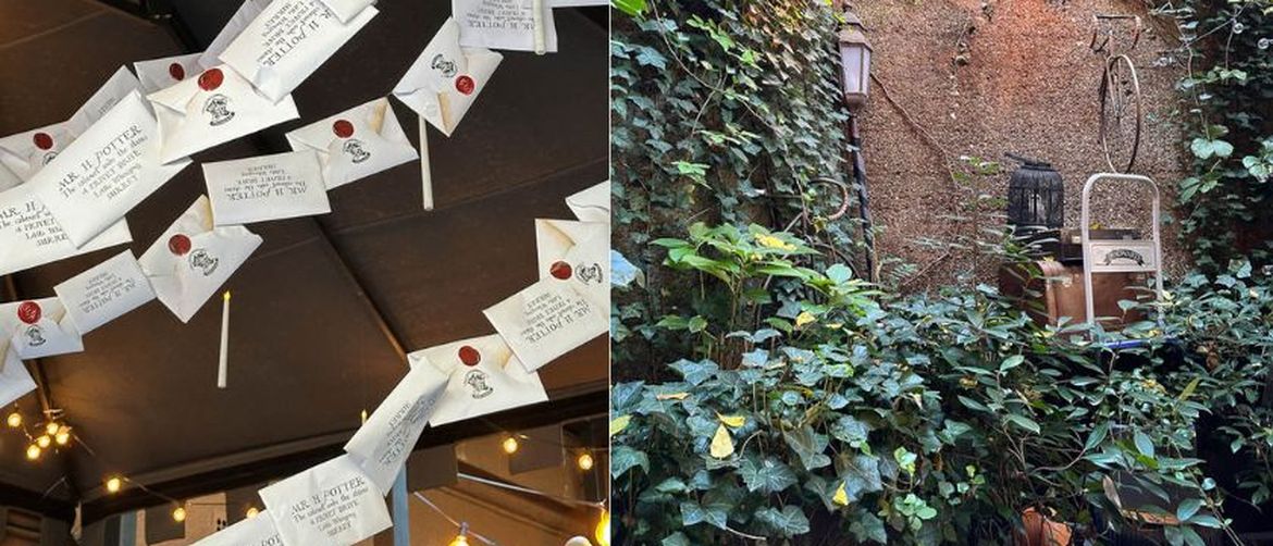 Narcissus bar u Harry Potter tematici - 38