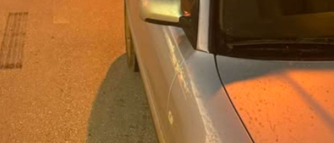 Tele koje viri iz automobila u Cisti Provo