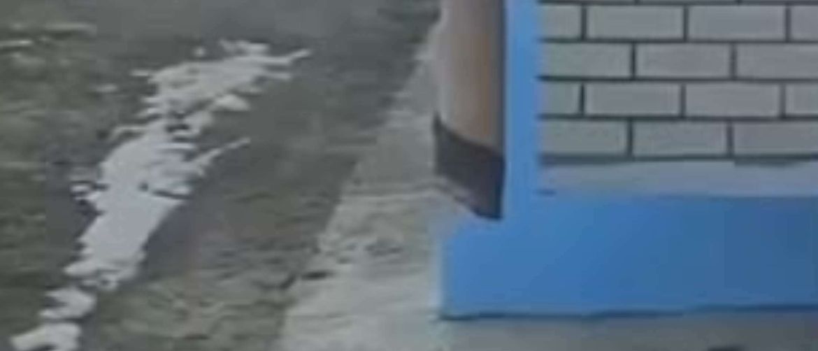 Mačka koja se penje po pokrivaču