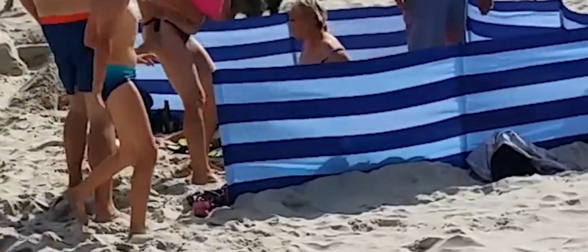 Divlja svinja na plaži