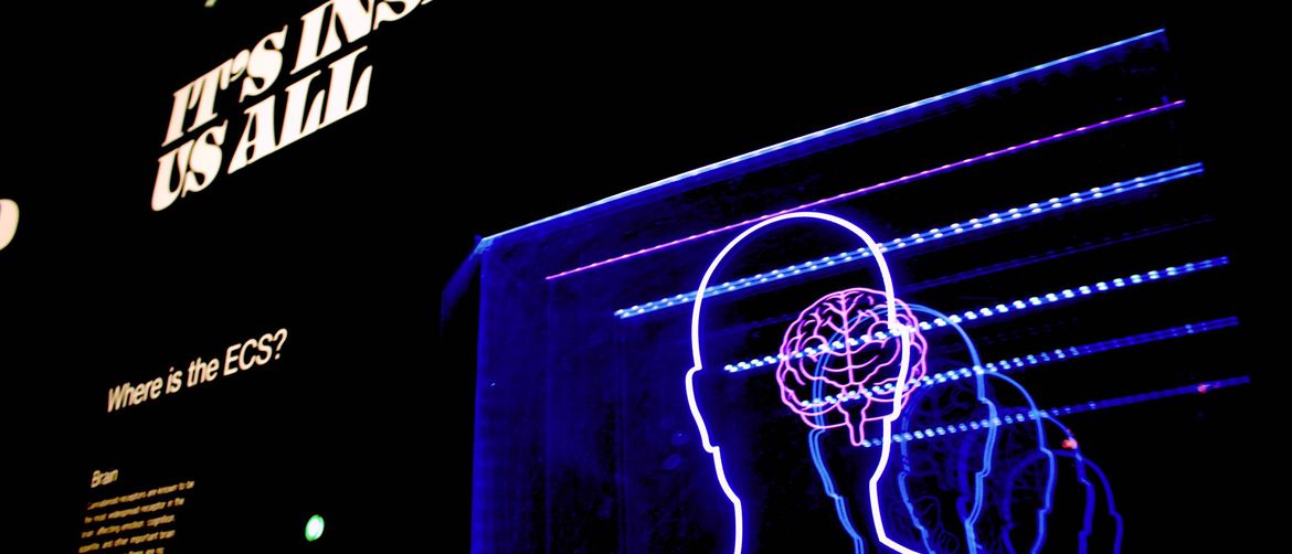 neonski znak ljudskog tijela s mozgom i natpisom kako je u nama