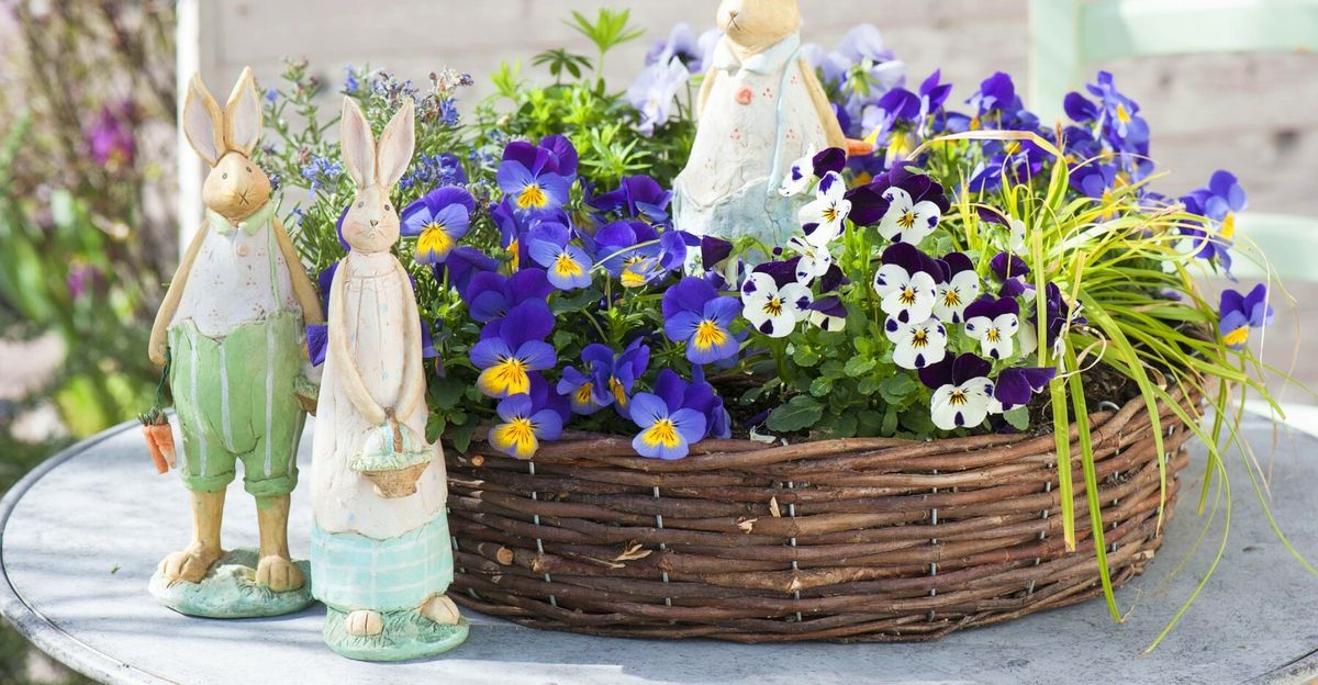 Maćuhice kao dio uskrsne dekoracije