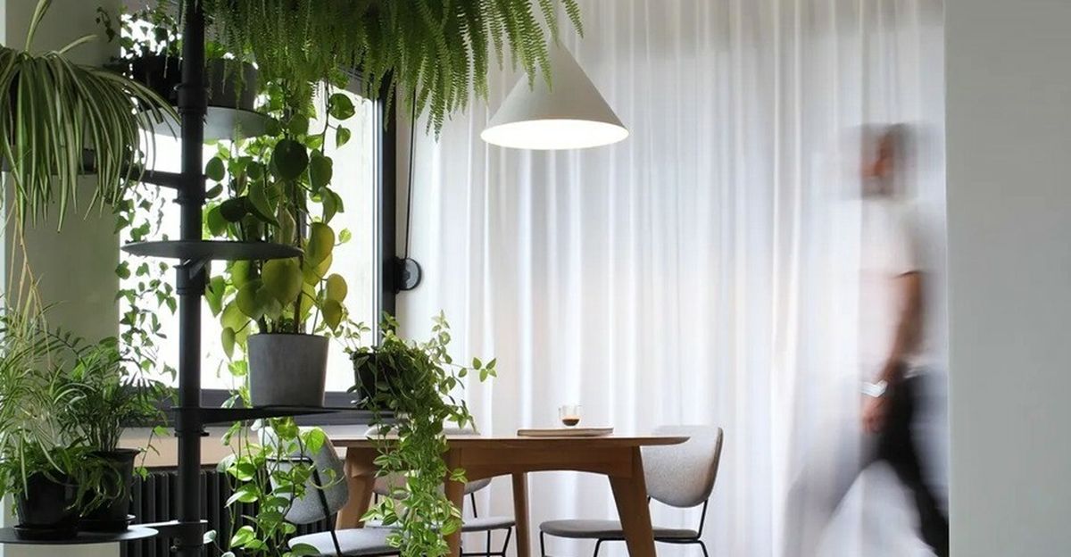 Bogato zelenilo unijelo je toplinu u stan