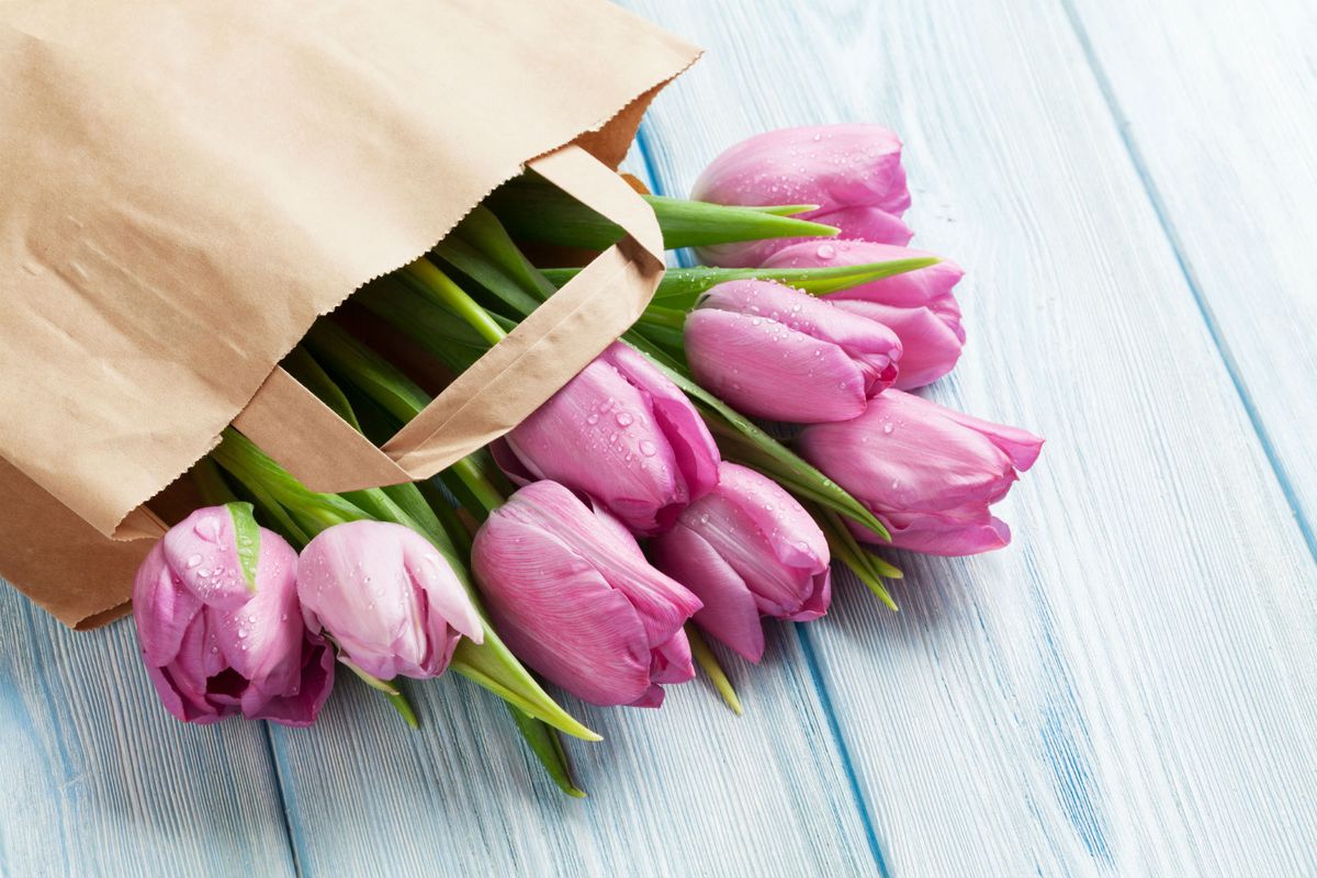 Papirnate vrećice izumila je Margaret Knight