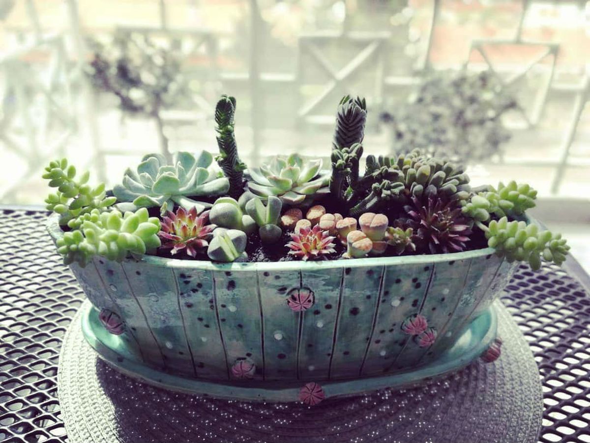 Brend Total Art iz Istre izrađuje unikatnu keramiku, a najveći hit su kaktus šalice - 3