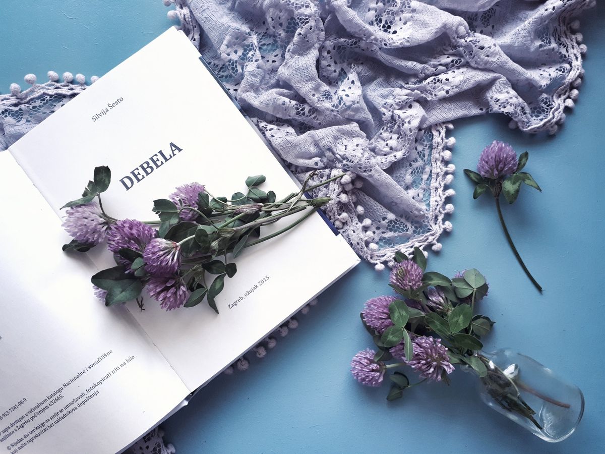 Knjiga Debela Silvije Šesto