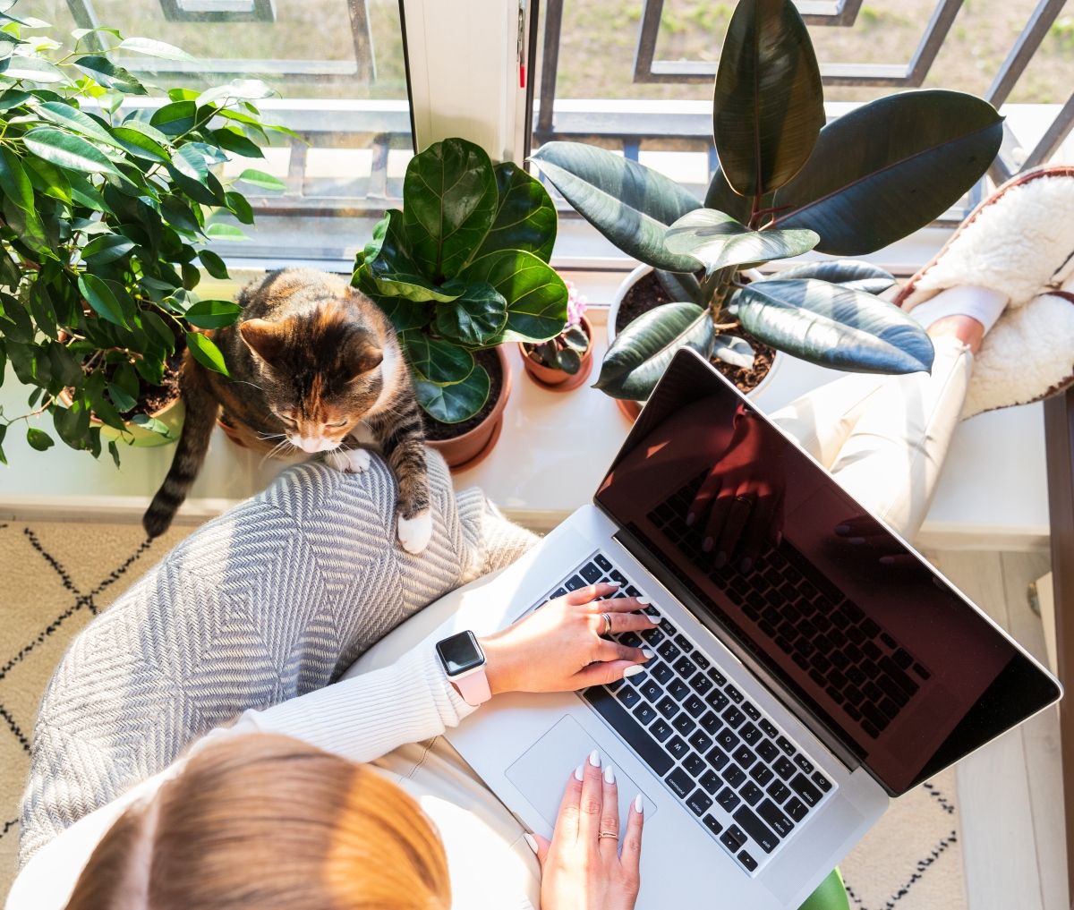 Utorak je optimalna kombinacija uvjeta i motivacije