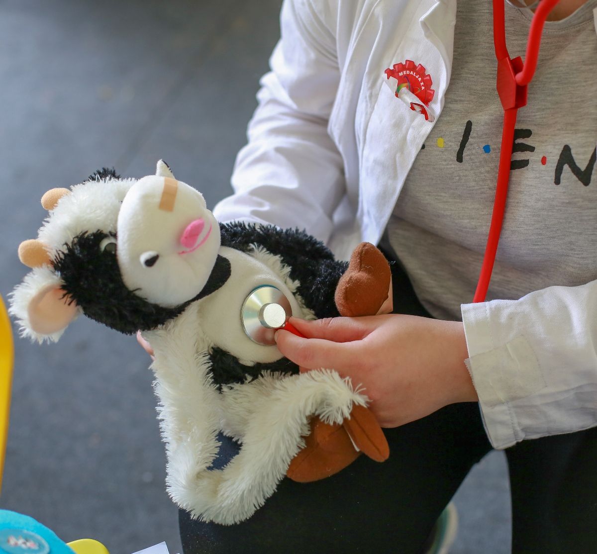 Bolnica za medvjediće organizira se već više od 20 godina