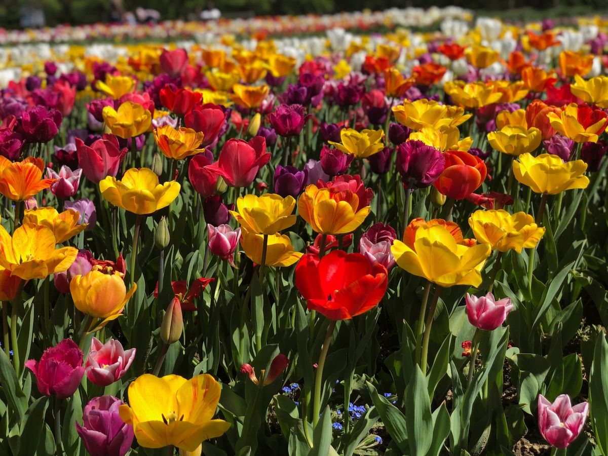 Volčji Potok u Sloveniji