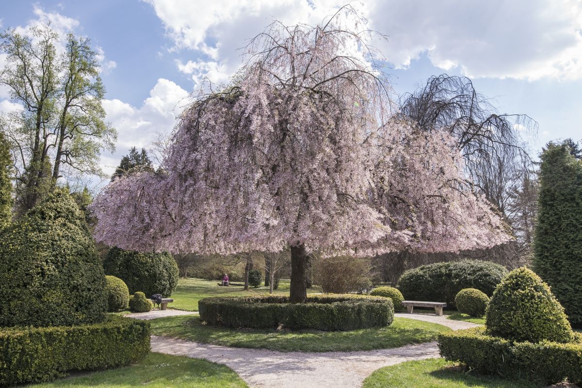 Volčji Potok u Sloveniji