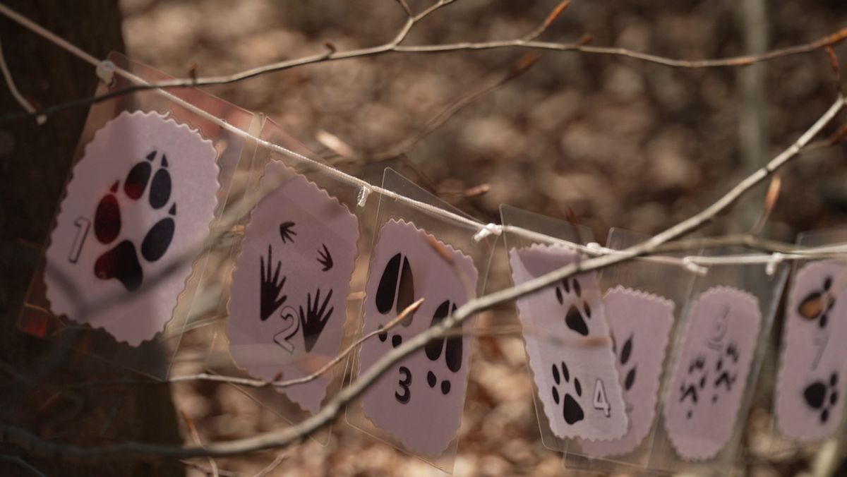 Treća sezona škole u prirodi: Tragovi u prirodi