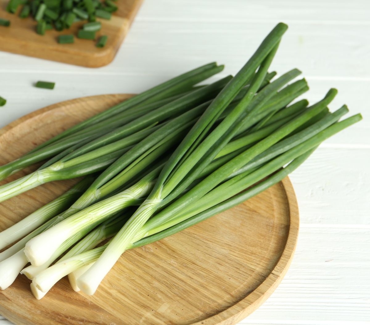 Mladi luk mnogima je nezamjenjiv