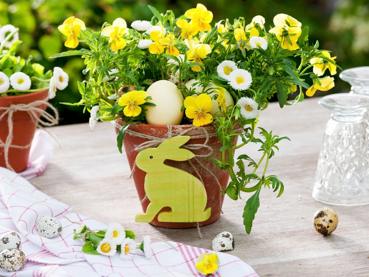 Maćuhice kao dio uskrsne dekoracije