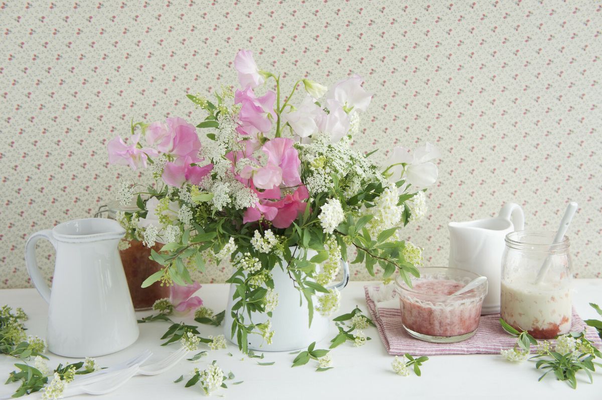 Delikatni cvijet mirisna grahorica izgleda očaravajuće - 5