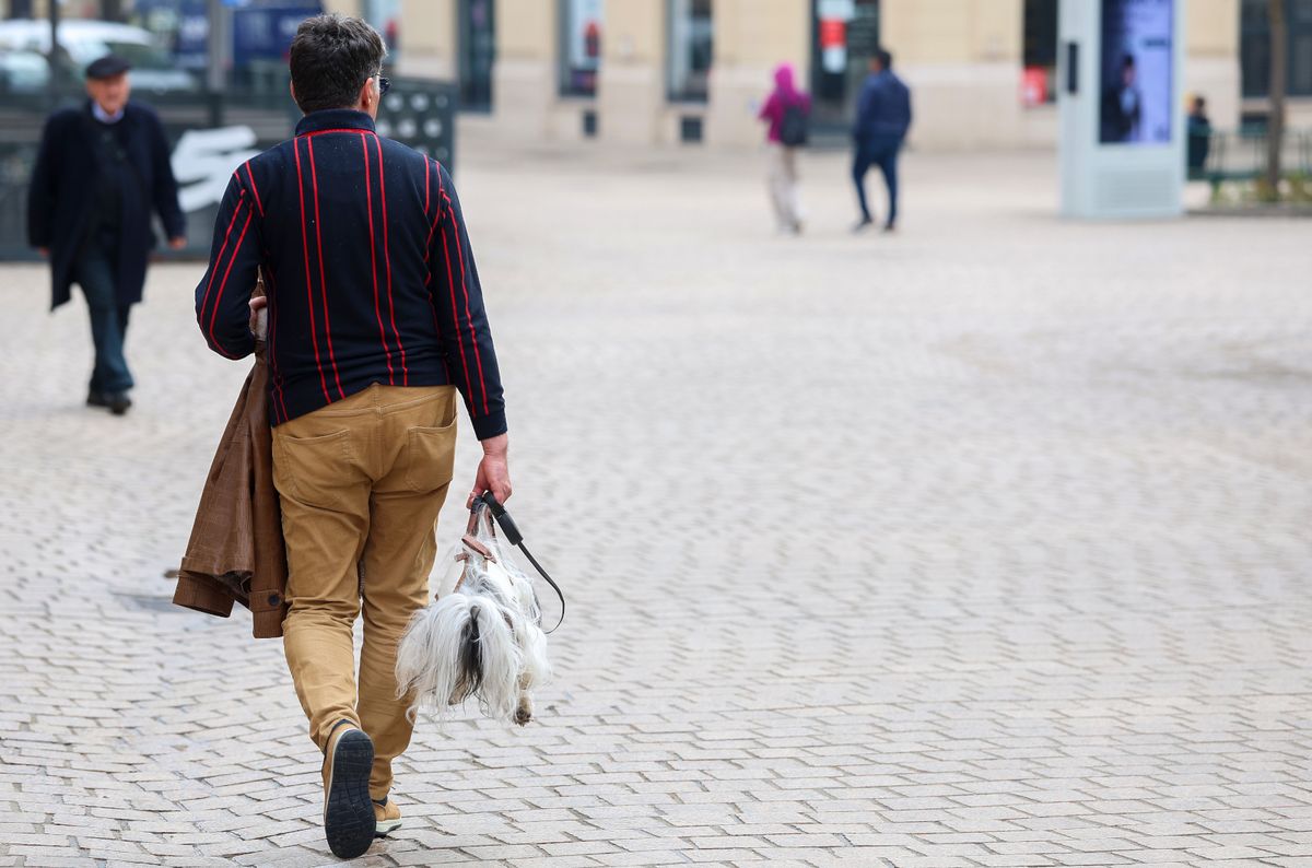 Muškarac iz centra Zagreba nosi psa kao torbicu - 5