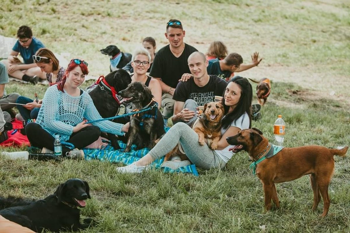 Kampanja \'Budi razlog za nečiji osmijeh - Udomi psa iz azila!\' udruge Pobjede iz Osijeka - 7