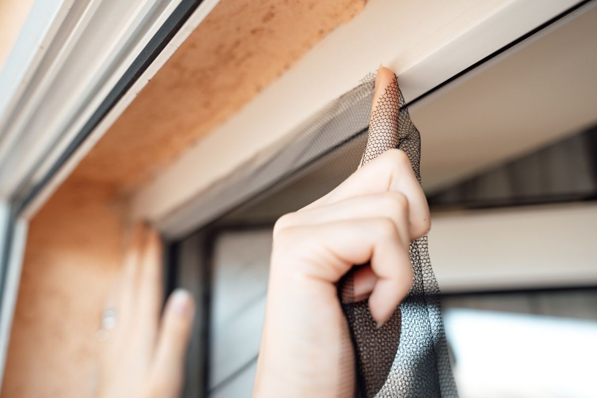 Profissimo mreža za prozore