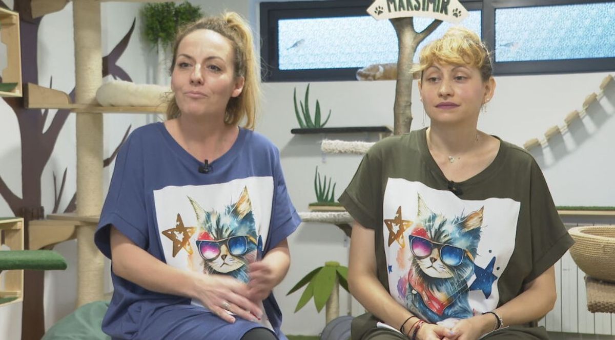 In Magazin: Mačji hotel