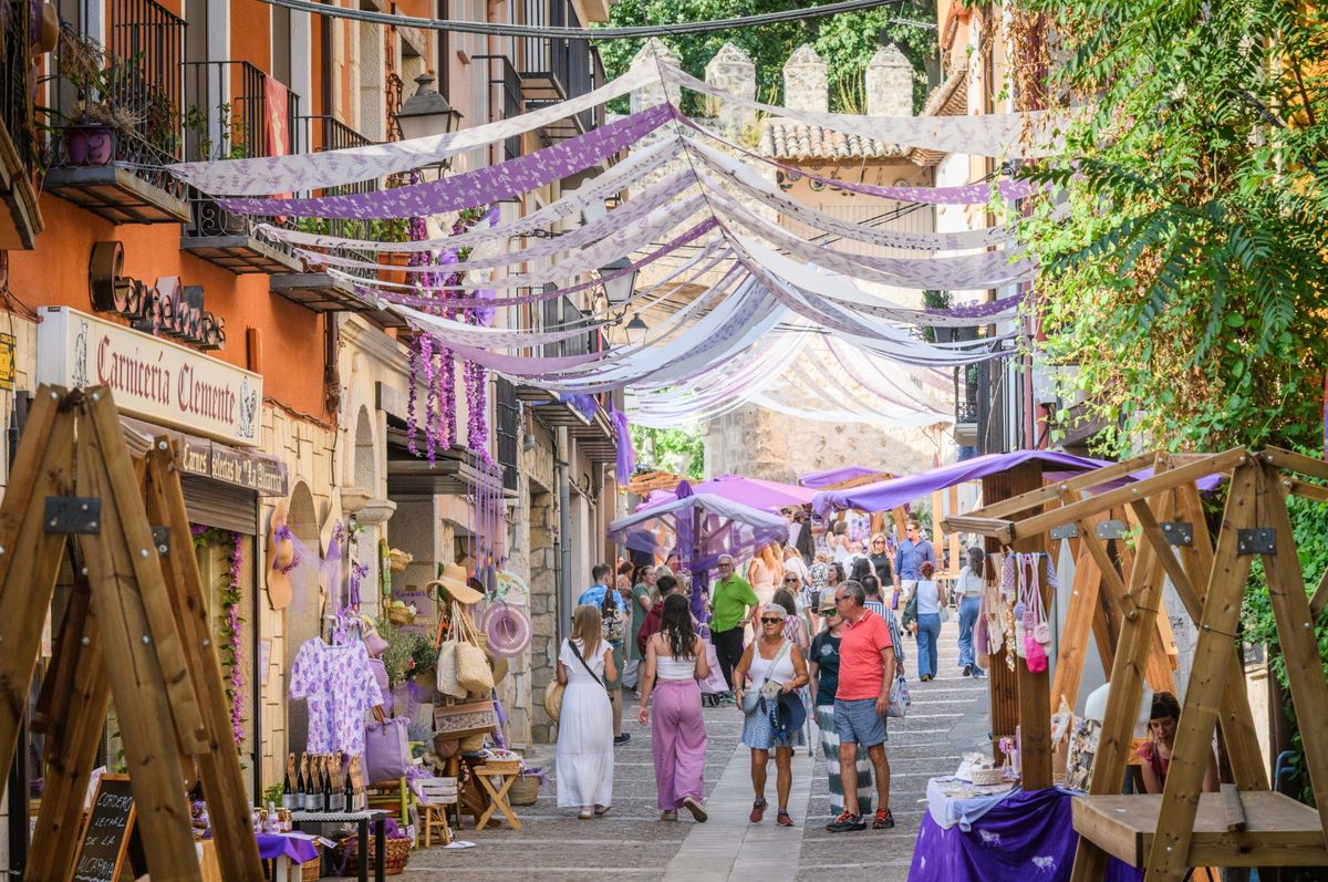 Polja lavande u Brihuegi u Španjolskoj - 9