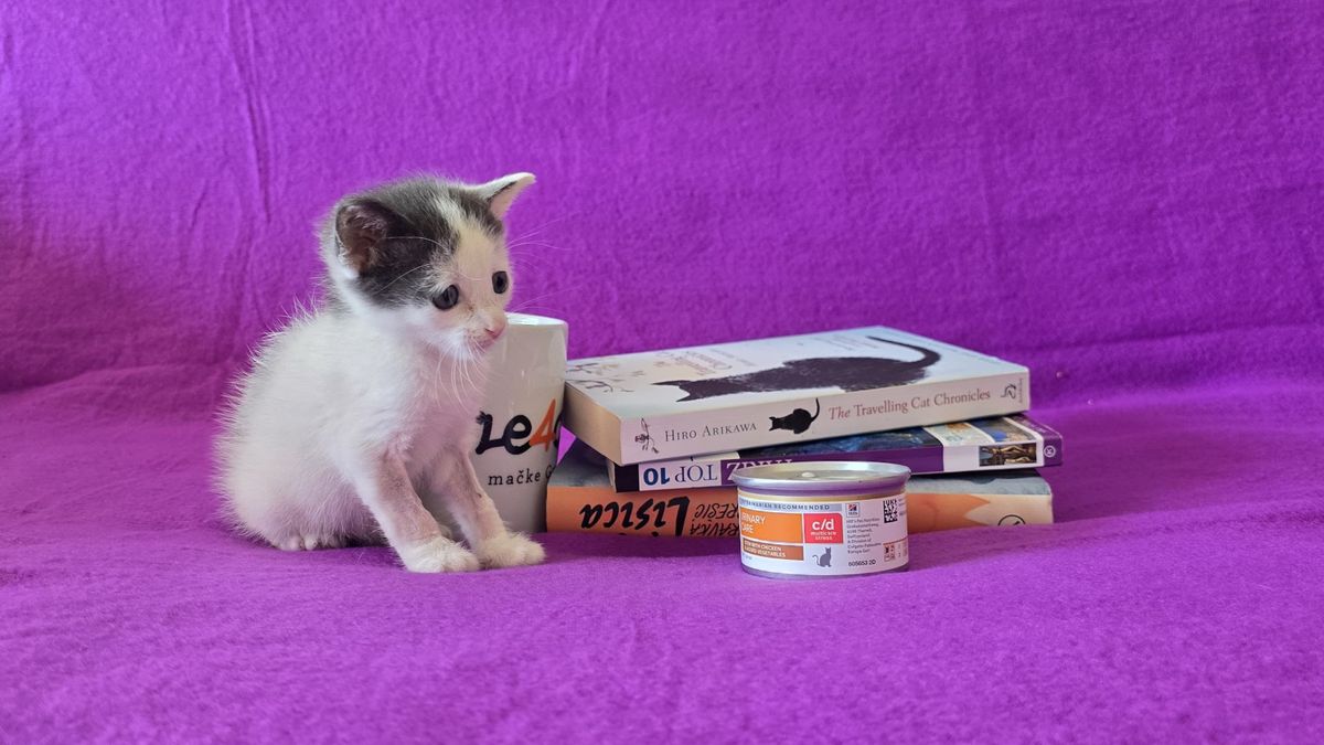 Prvi Dumovečki buvljak održat će se u petak - 3