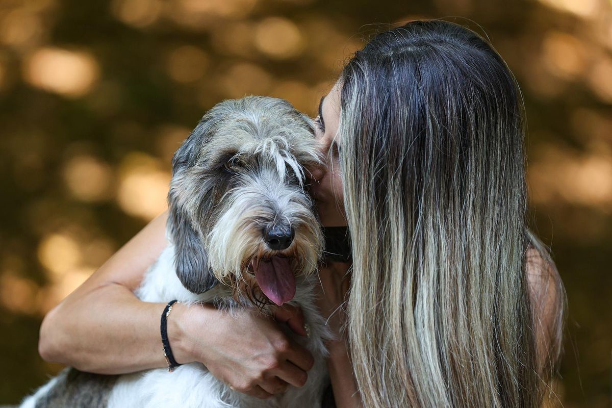 Hrvatska kujica Meghan proglašena najljepšim psom na svijetu - 1