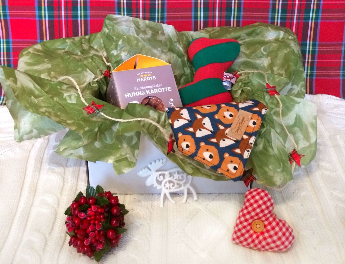 Rudolf box (Foto: Zadovoljna.hr)