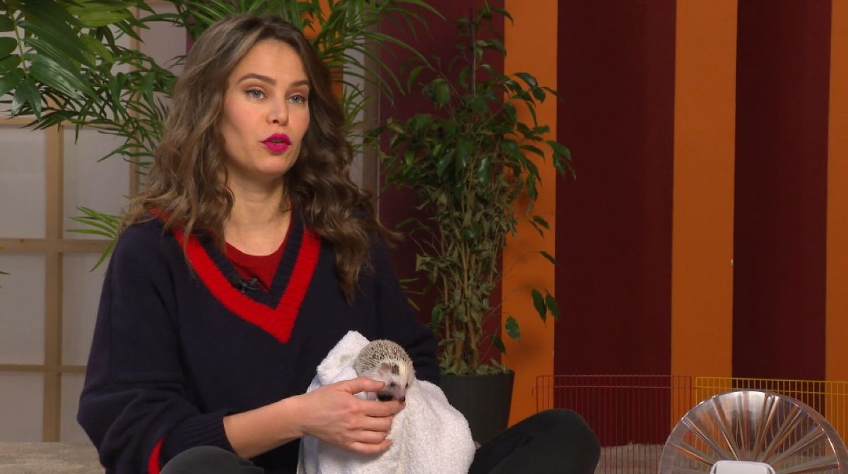 Mia Kovačić za kućnog ljubimca ima ježa Miloša