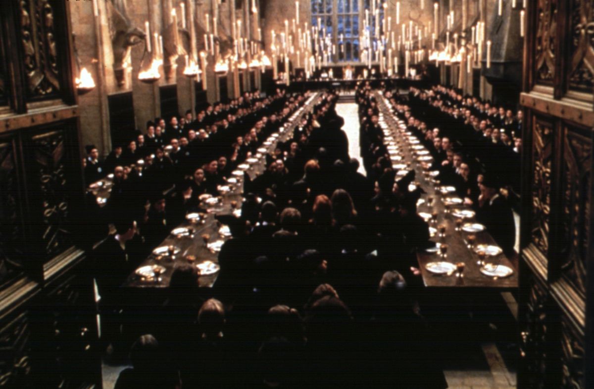 Harry Potter i kamen mudraca