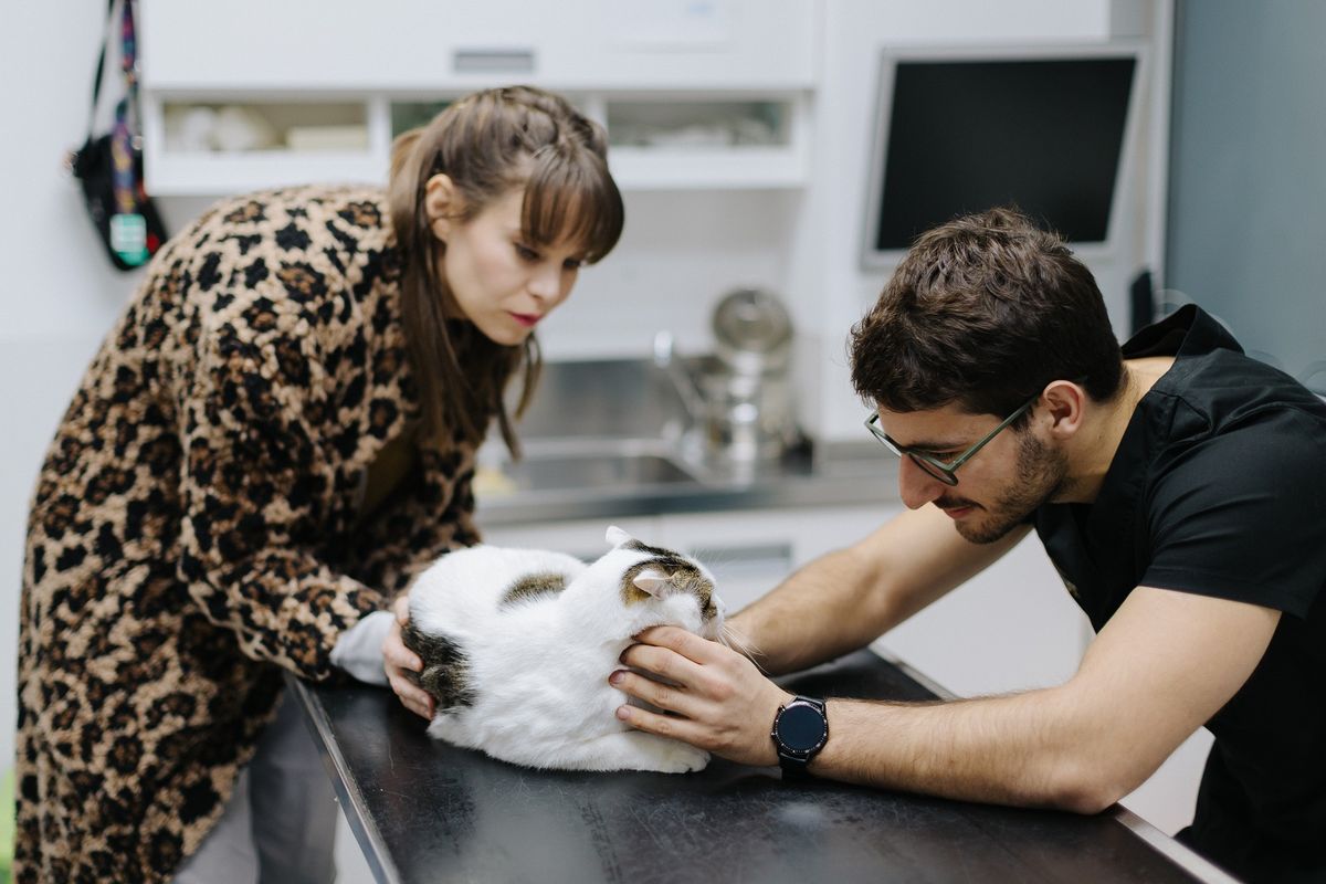 Mia Kovačić i Spock