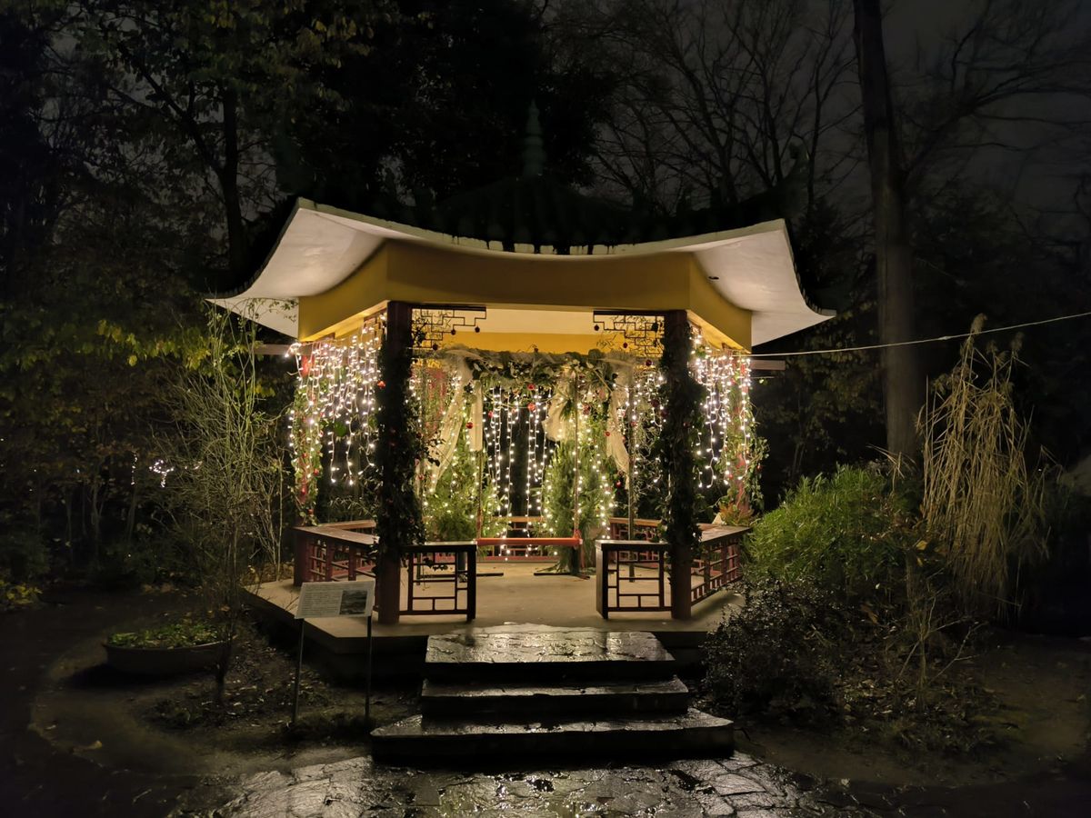 Advent u Divljem srce grada