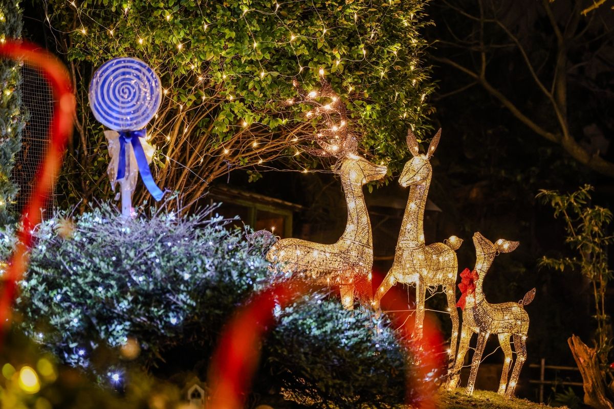 Božićna bajka u Čepinu