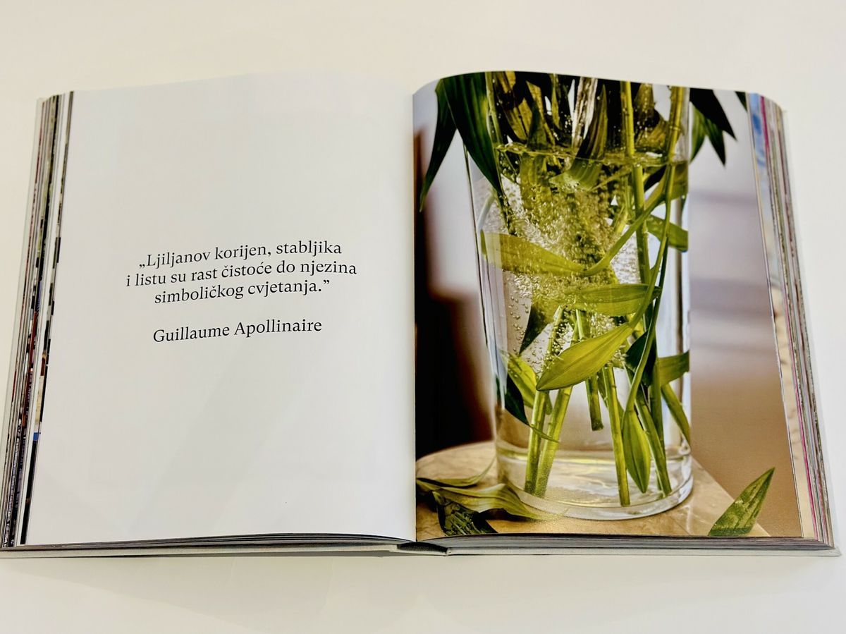 Knjiga Atmosfere Saše Šekoranje