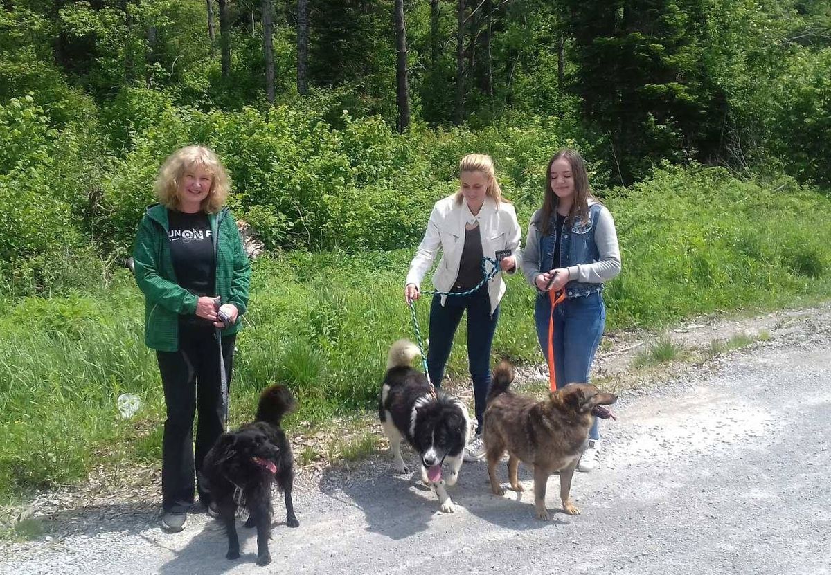 Učenici i djelatnici Srednje škole Delnice u šetnji sa štićenicima azila