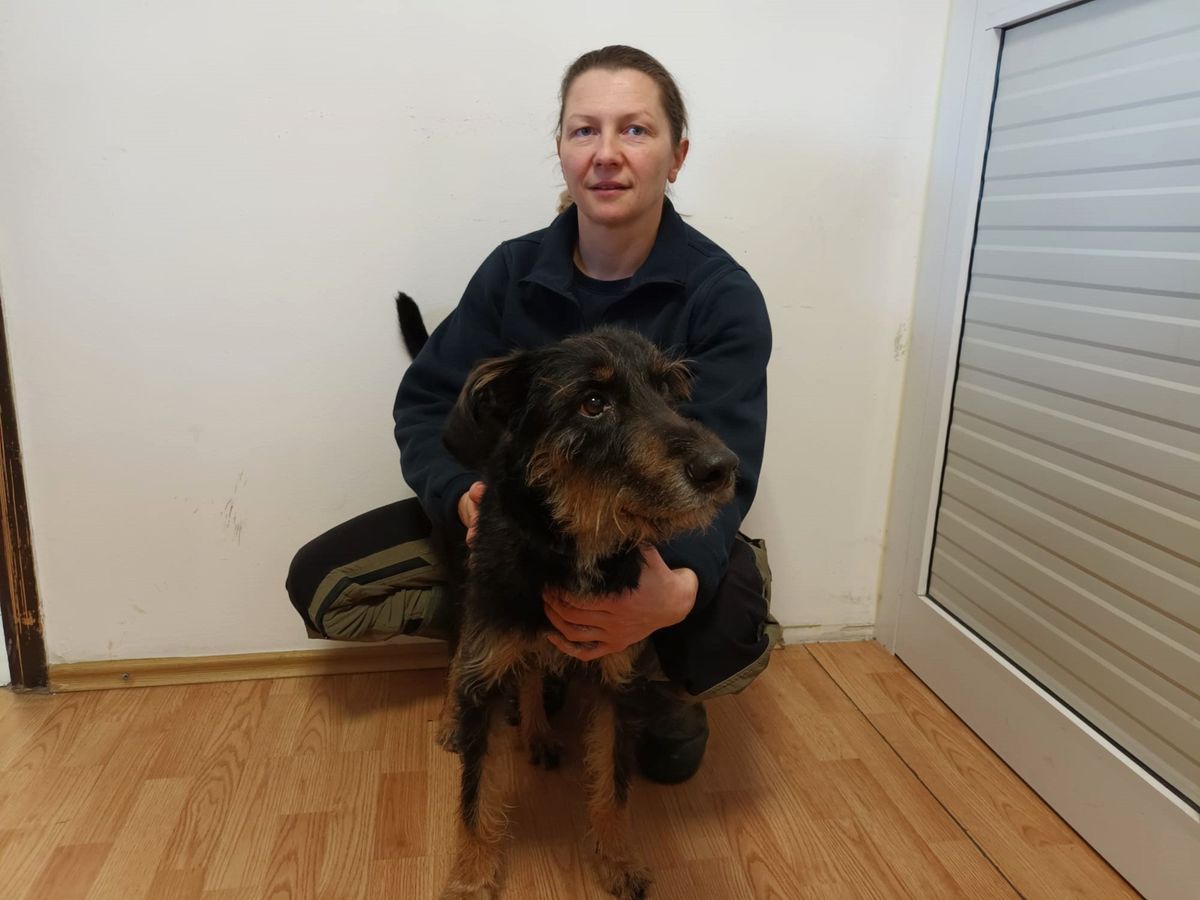 Sklonište Dumovec organizira akciju Odgovoran čovjek, sretna njuška - 3