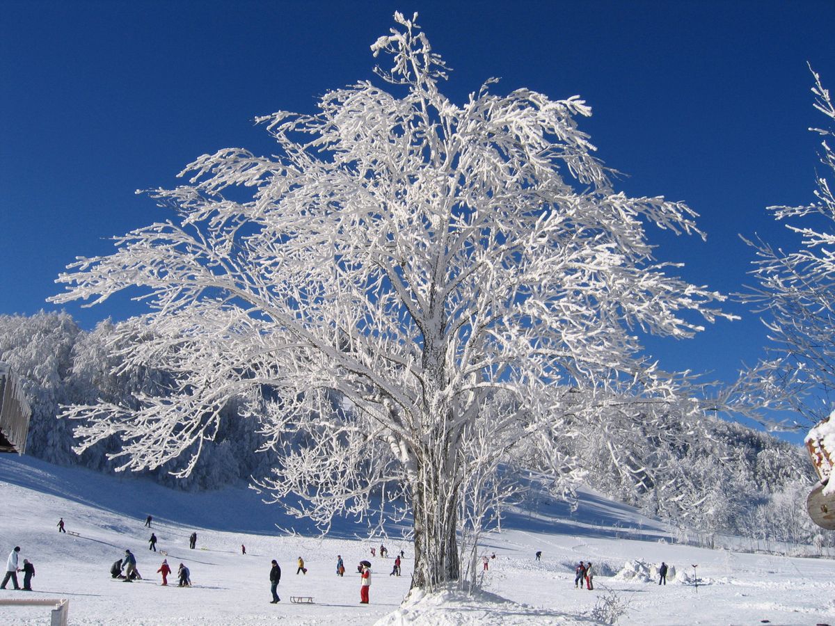 Aktivnosti za djecu u Gorskom kotaru